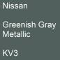 Preview: Nissan, Greenish Gray Metallic, KV3.